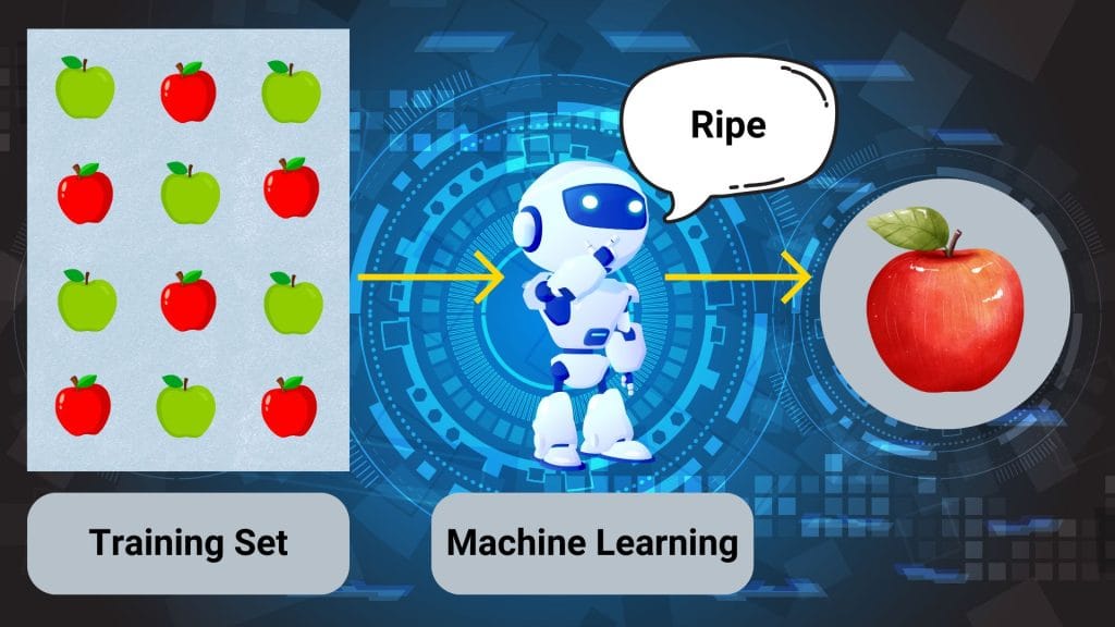 Machine learning model using a training set of apples to learn how to identify a ripe apple.